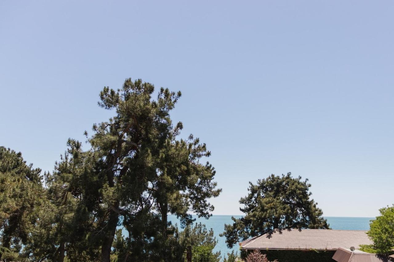 Hotel Talion, Pitsunda Lidzava Zewnętrze zdjęcie